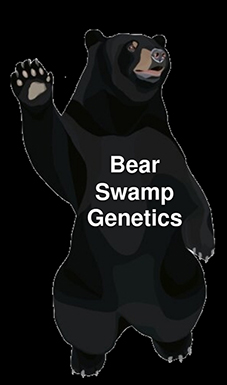 Bear Swamp Genetics