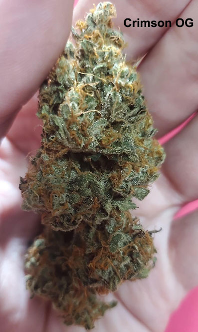 Crimson OG