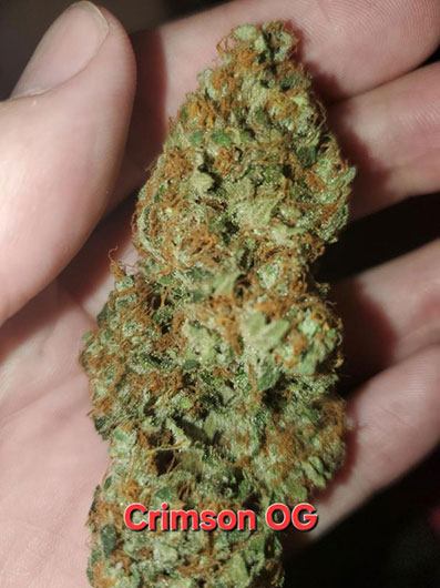 Crimson OG