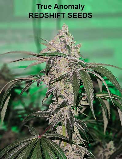True Anomaly by Redshift Seeds