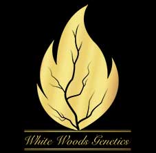 White Woods Genetics